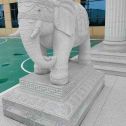 武威 白麻花岗岩动物异形石雕-大象